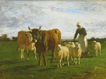 Evening, Driving Cattle, 1859-Constant-emile Troyon-Giclee Print
