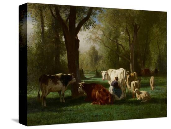 Stretched Canvas Print, , large