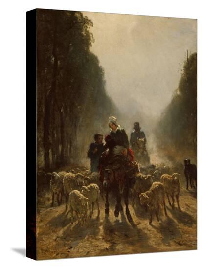 Stretched Canvas Print, , large