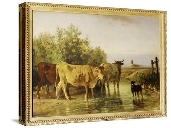 Stretched Canvas Print, , large