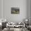 Constantia Winery, Cape Town, South Africa-Stuart Westmoreland-Framed Stretched Canvas displayed on a wall