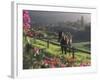 Constantia Winery, Cape Town, South Africa-Stuart Westmoreland-Framed Photographic Print