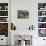 Constantia Winery, Cape Town, South Africa-Stuart Westmoreland-Photographic Print displayed on a wall