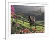 Constantia Winery, Cape Town, South Africa-Stuart Westmoreland-Framed Photographic Print