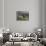 Constantia Winery, Cape Town, South Africa-Stuart Westmoreland-Mounted Photographic Print displayed on a wall