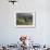 Constantia Winery, Cape Town, South Africa-Stuart Westmoreland-Framed Photographic Print displayed on a wall