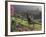 Constantia Winery, Cape Town, South Africa-Stuart Westmoreland-Framed Photographic Print