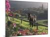 Constantia Winery, Cape Town, South Africa-Stuart Westmoreland-Mounted Photographic Print