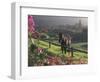 Constantia Winery, Cape Town, South Africa-Stuart Westmoreland-Framed Photographic Print