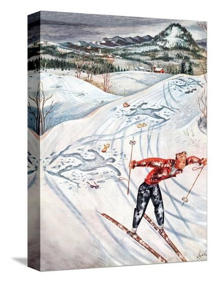 Stretched Canvas Print, , large