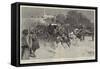 Constantinople Illustrated, the Selamlik, the Sultan Going to Prayers, Friday-null-Framed Stretched Canvas