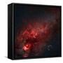 Constellation Cygnus with Multiple Nebulae Visible-Stocktrek Images-Framed Stretched Canvas