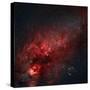 Constellation Cygnus with Multiple Nebulae Visible-Stocktrek Images-Stretched Canvas