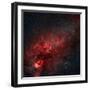 Constellation Cygnus with Multiple Nebulae Visible-Stocktrek Images-Framed Photographic Print