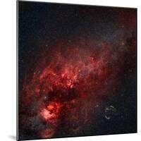 Constellation Cygnus with Multiple Nebulae Visible-Stocktrek Images-Mounted Photographic Print