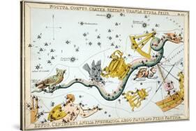 Constellation: Hydra-Sidney Hall-Stretched Canvas