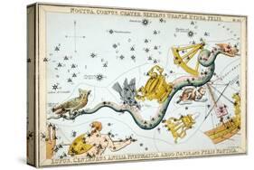 Constellation: Hydra-Sidney Hall-Stretched Canvas