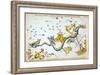 Constellation: Hydra-Sidney Hall-Framed Giclee Print