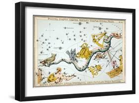 Constellation: Hydra-Sidney Hall-Framed Giclee Print