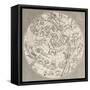 Constellation II-null-Framed Stretched Canvas