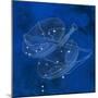 Constellation Libra-null-Mounted Photographic Print
