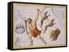 Constellation of Bootes-James Thornhill-Framed Stretched Canvas