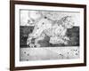 Constellation of Leo, 1723-null-Framed Giclee Print