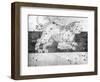 Constellation of Leo, 1723-null-Framed Giclee Print