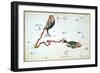 Constellation: Pisces-Sidney Hall-Framed Giclee Print