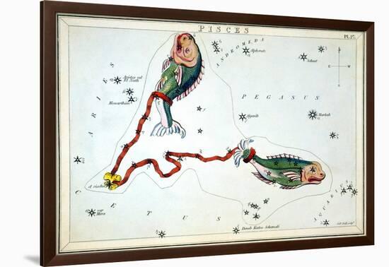Constellation: Pisces-Sidney Hall-Framed Giclee Print
