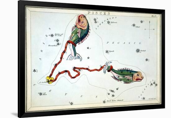 Constellation: Pisces-Sidney Hall-Framed Giclee Print