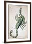 Constellation: Scorpio-Sidney Hall-Framed Premium Giclee Print