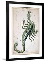 Constellation: Scorpio-Sidney Hall-Framed Premium Giclee Print