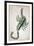 Constellation: Scorpio-Sidney Hall-Framed Premium Giclee Print