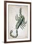 Constellation: Scorpio-Sidney Hall-Framed Premium Giclee Print