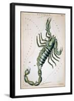 Constellation: Scorpio-Sidney Hall-Framed Giclee Print