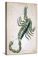 Constellation: Scorpio-Sidney Hall-Stretched Canvas