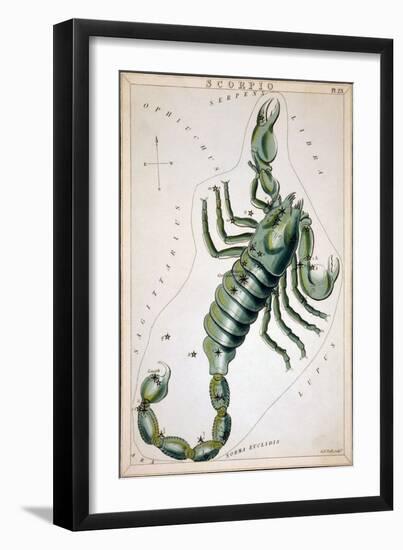 Constellation: Scorpio-Sidney Hall-Framed Giclee Print