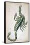 Constellation: Scorpio-Sidney Hall-Framed Stretched Canvas