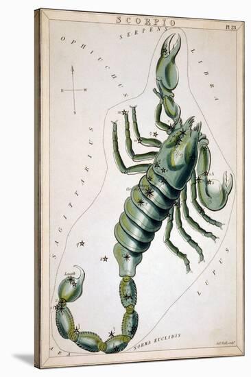 Constellation: Scorpio-Sidney Hall-Stretched Canvas