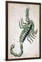 Constellation: Scorpio-Sidney Hall-Framed Giclee Print