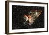 Constellation-Stocktrek-Framed Photographic Print