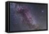 Constellations Cygnus and Lyra with Nearby Deep Sky Objects-null-Framed Stretched Canvas