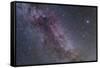 Constellations Cygnus and Lyra with Nearby Deep Sky Objects-null-Framed Stretched Canvas