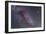 Constellations Cygnus and Lyra with Nearby Deep Sky Objects-null-Framed Photographic Print