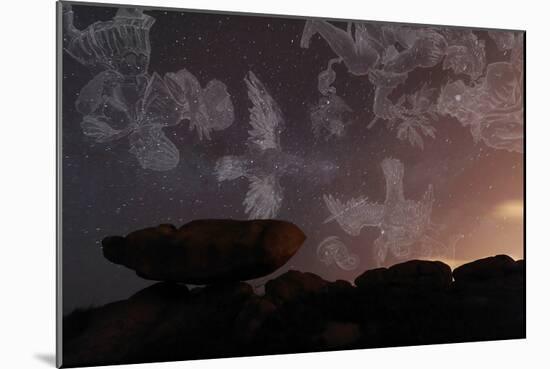 Constellations In a Night Sky-Laurent Laveder-Mounted Photographic Print