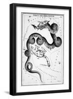 Constellations;Little Bear;Dragon;Engr.-null-Framed Giclee Print