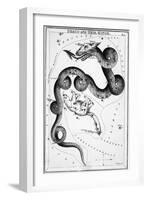 Constellations;Little Bear;Dragon;Engr.-null-Framed Giclee Print