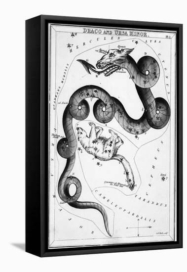 Constellations;Little Bear;Dragon;Engr.-null-Framed Stretched Canvas