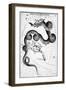 Constellations;Little Bear;Dragon;Engr.-null-Framed Premium Giclee Print